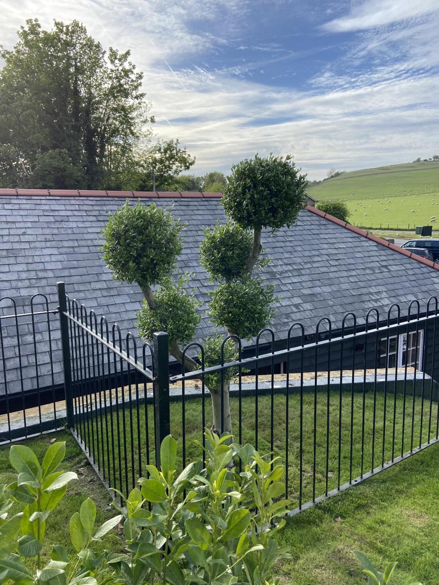 The Lydden Bell B&B 외부 사진